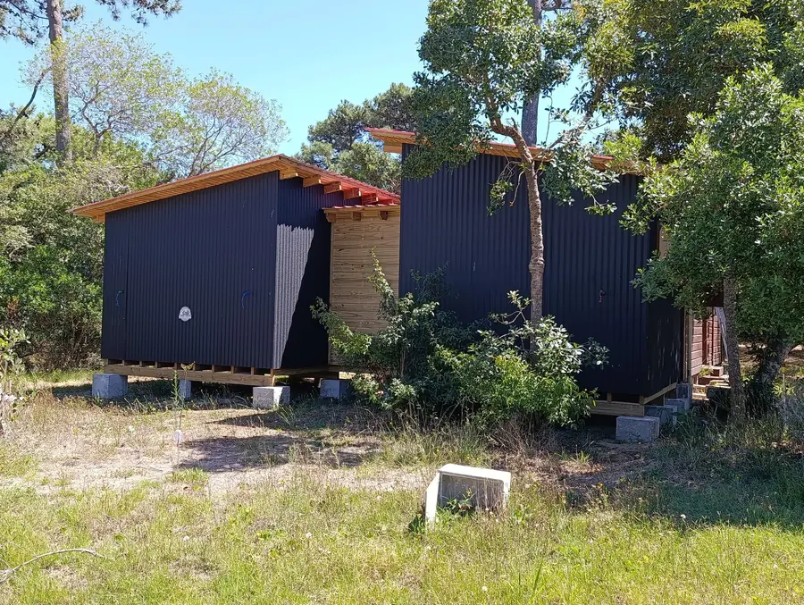 Casas de madera entre pinos