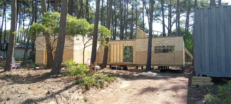 Casas de madera entre pinos